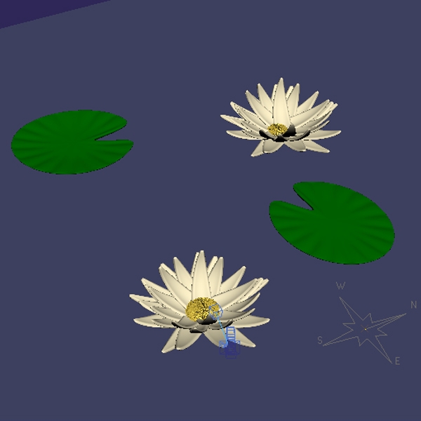 Creation of Waterlily: Step 4